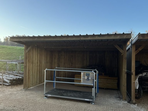 Horse scale booking (3 horses/ponies)
